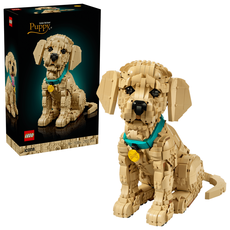 LEGO. Icons Catelus Golden Retriever
