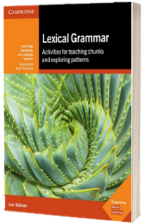 Lexical Grammar
