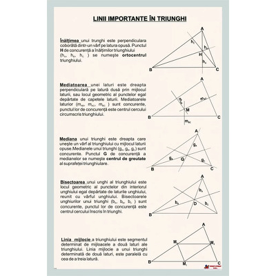 Linii importante in triunghi