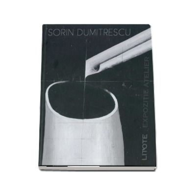 Litote. Eseu vizual asupra codificarii iconice