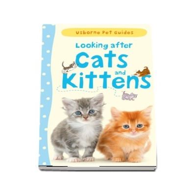 Looking after cats and kittens