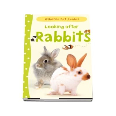 Looking after rabbits