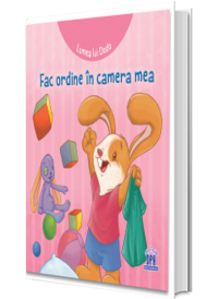 Lumea lui Dodo: Fac ordine in camera mea