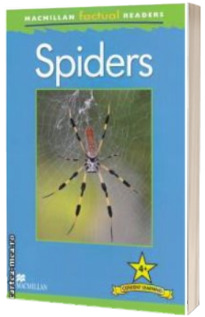 Macmillan factual Readers: Spiders: Level 4+