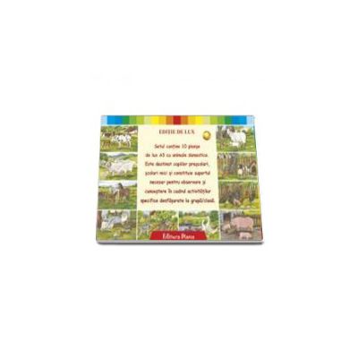 Mapa cu 10 planse - Set planse animale domestice (Editie de lux)