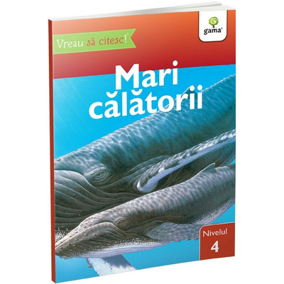 Mari calatorii, nivelul 4