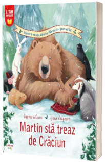 Martin sta treaz de Craciun