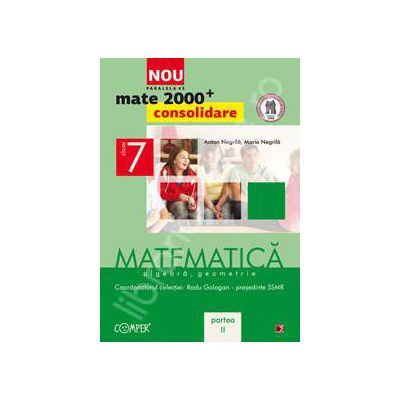 Mate 2000 pentru clasa a VII-a. Partea a II-a, CONSOLIDARE. Matematica, algebra, geometrie