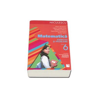 Matematica. Exercitii si probleme pentru clasa a VI-a (Rozica Stefan)