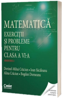 Matematica - Exercitii si probleme pentru clasa a VI-a semestrul I