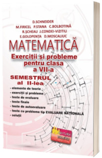 Matematica-Exercitii si probleme pentru clasa a VII-a - Semestrul II