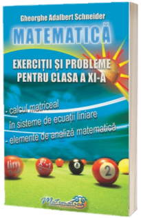 Matematica exercitii si probleme pentru clasa a XI-a