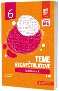 Matematica. Teme recapitulative. Clasa a VI-a