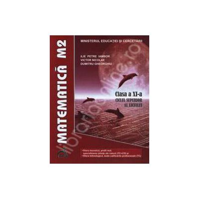 Matematica M2. Manual pentru clasa a XI-a ciclul superior al liceului