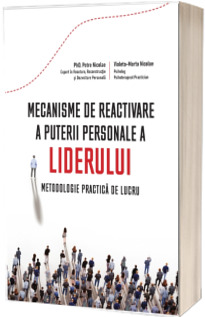 Mecanisme de reactivare a puterii personale a liderului