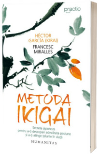 Metoda Ikigai