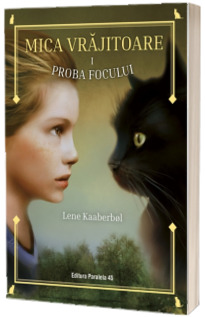 Mica vrajitoare. Volumul 1