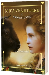 Mica vrajitoare. Volumul 6