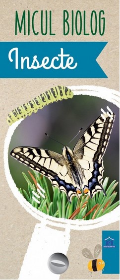 Micul Biolog - Insecte (Anita van Saan)