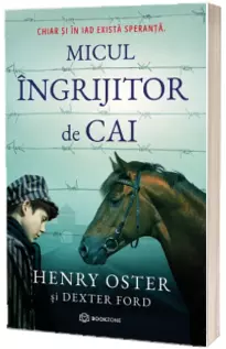 Micul ingrijitor de cai