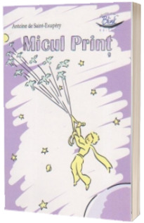 Micul Print