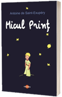 Micul Print