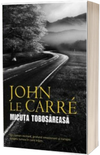 Micuta tobosareasa