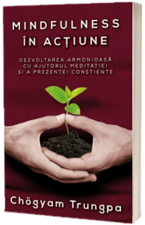 Mindfulness in actiune