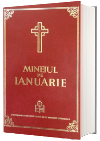 Mineiul pe ianuarie