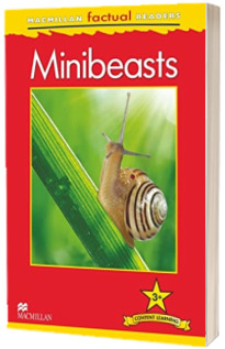 Minibeasts