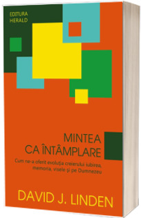 Mintea ca intamplare