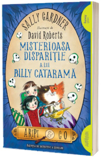 Misterioasa disparitie a lui Billy Catarama