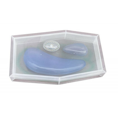 Model - Celula vegetala