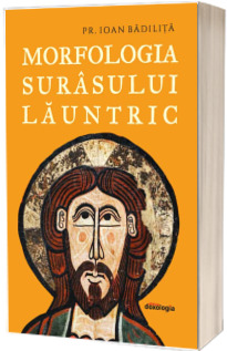 Morfologia surasului launtric
