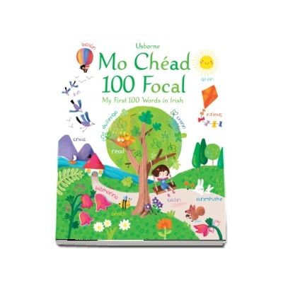 My first 100 words in Irish