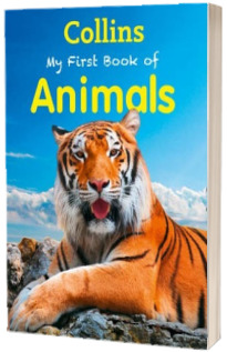 My First Book of Animals
