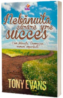 Nebanuita carare spre succes