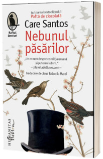Nebunul pasarilor