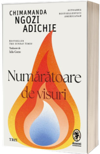 Numaratoare de visuri