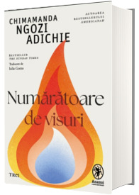 Numaratoare de visuri