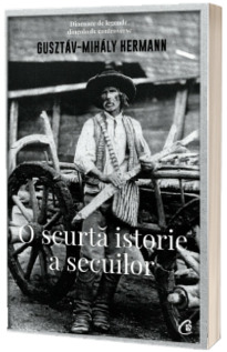 O scurta isorie a secuilor
