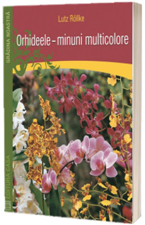 Orhideele - minuni multicolore