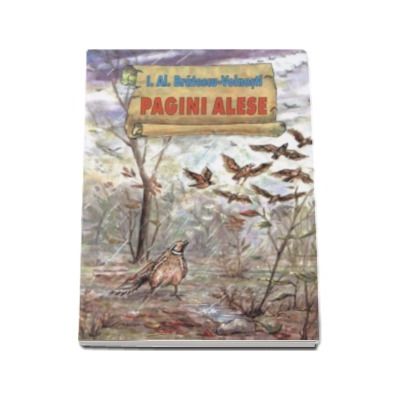 Pagini Alese