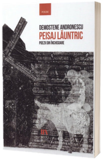 Peisaj launtric