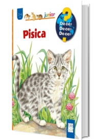 Pisica