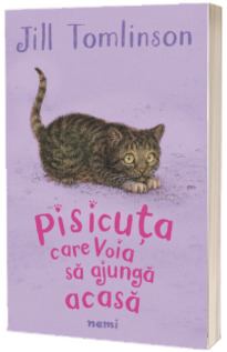 Pisicuta care voia sa ajunga acasa