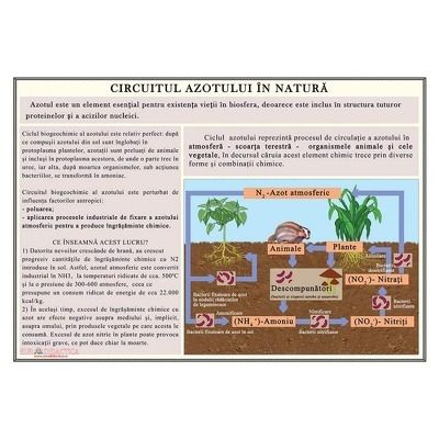 Plansa Circuitul azotului in natura