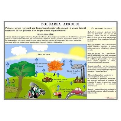 Plansa Poluarea aerului
