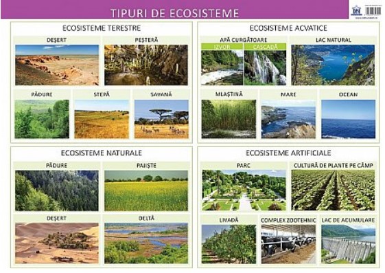 Plansa - Tipuri de ecosisteme