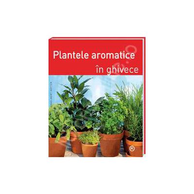 Plante aromatice in ghivece